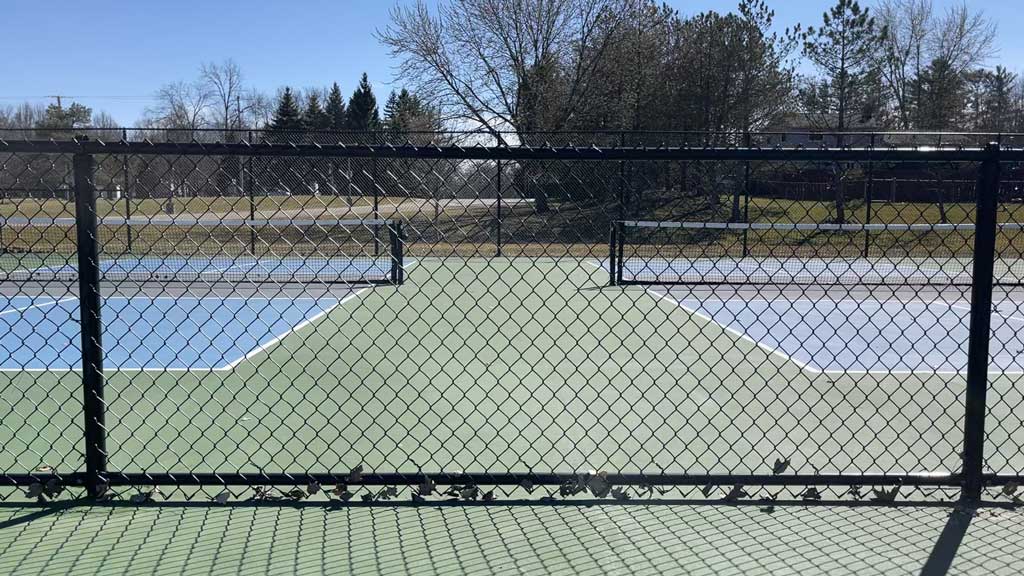 Black Chain Link Fence