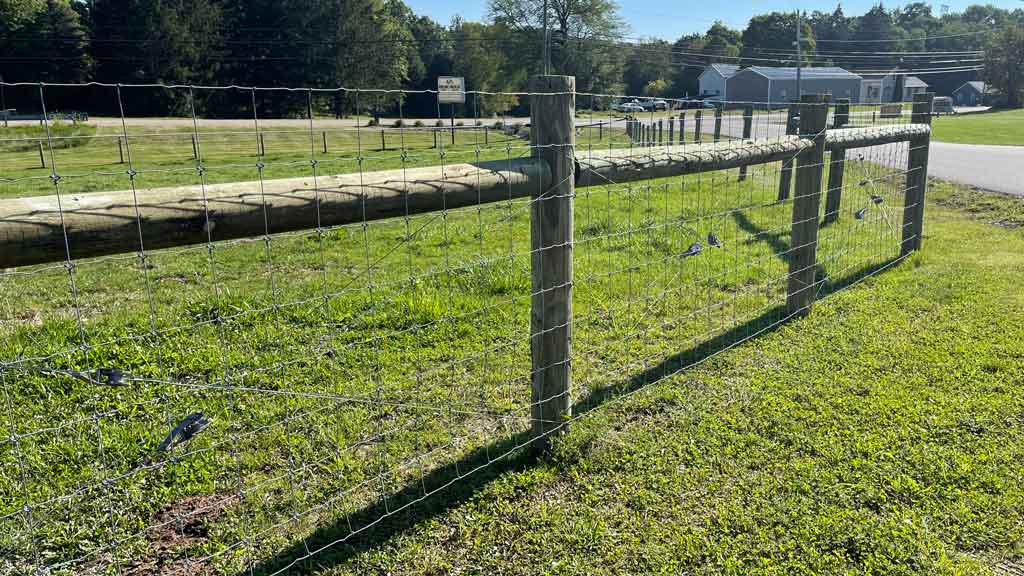 Cattle Fence Ideas 5 Best Types