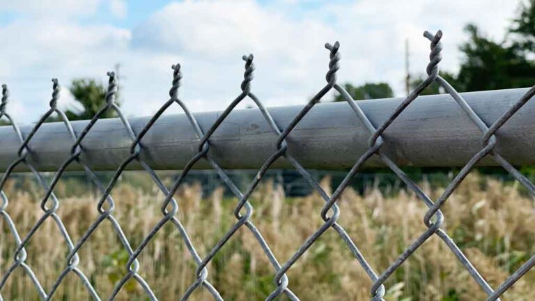 Chain Link Mesh – Everything You Need to Know