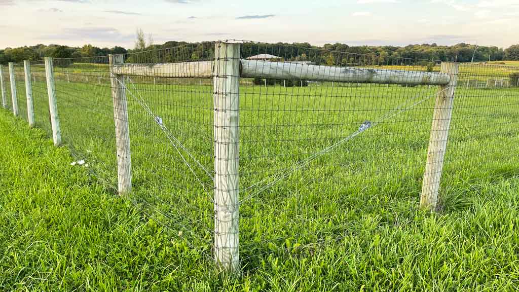 wood bracing at corner of fence line.