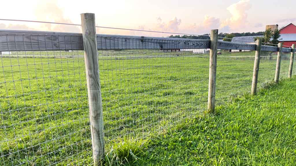 round wood post and no climb fence