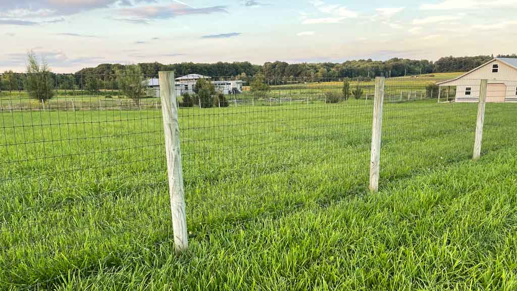 round wood fence posts on woven wire.