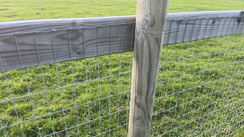 Wood framework with woven wire mesh