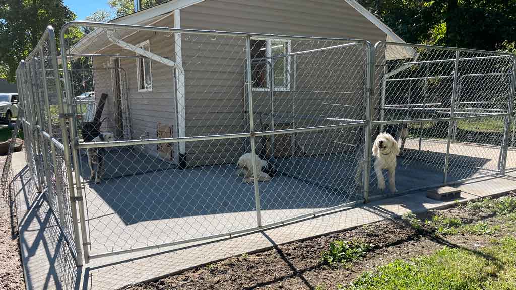 dog kennel panels