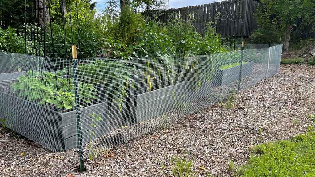 welded wire garden fence