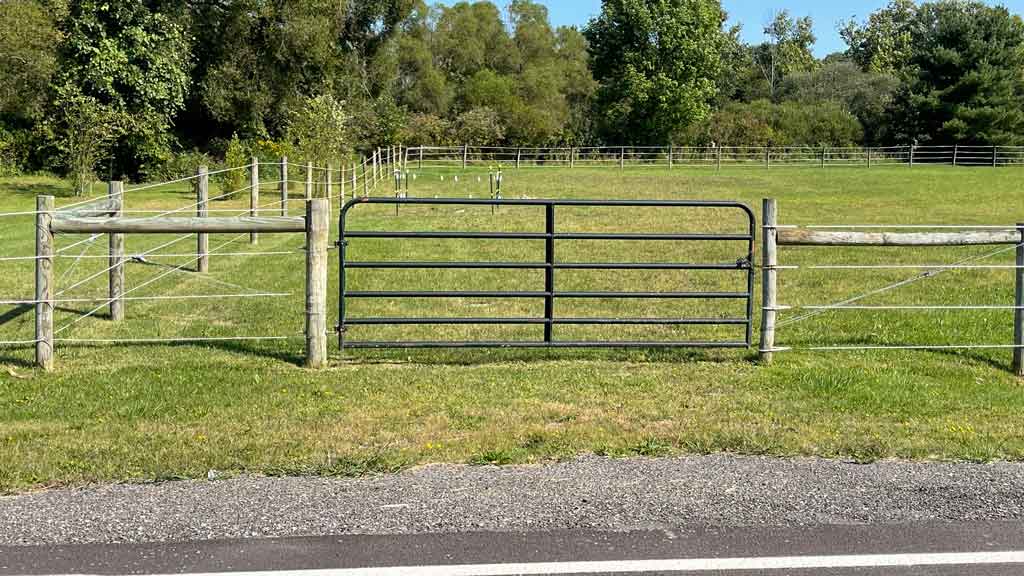 white high tensile type wire fence