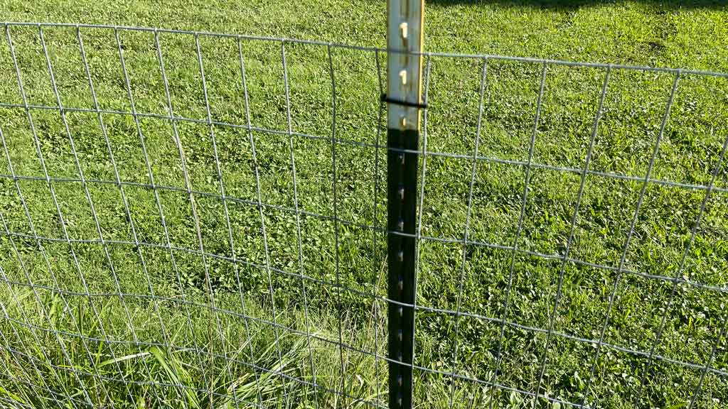 close up of welded wire type fence