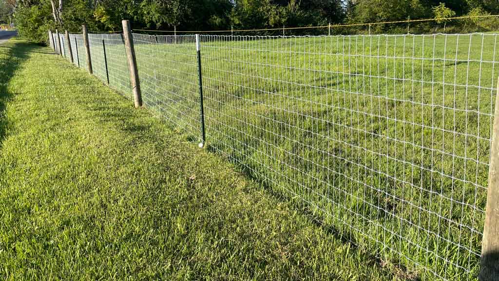 Galvanized no climb type wire fence