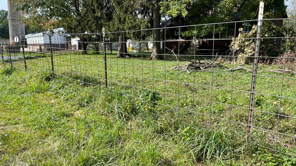 fence attached to metal t posts