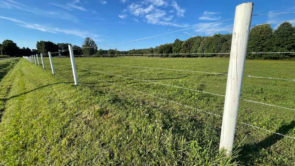 strands of barbed wire fence