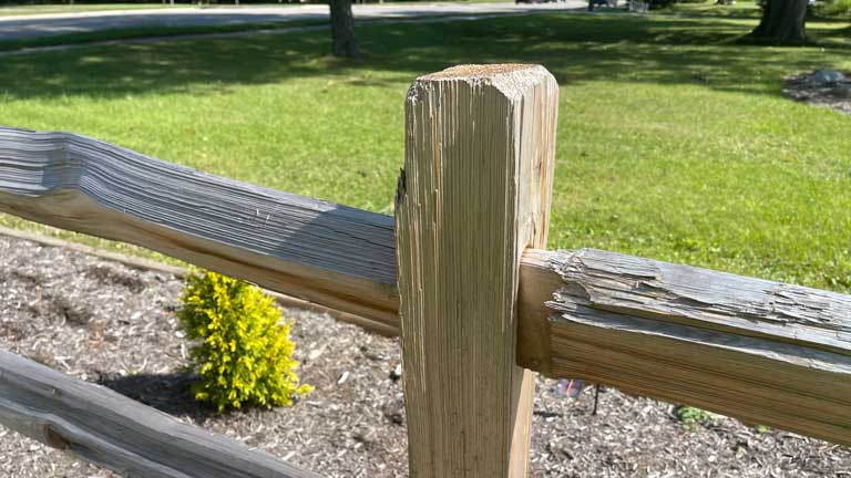 cedar split rail post