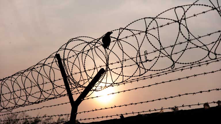 concertina wire