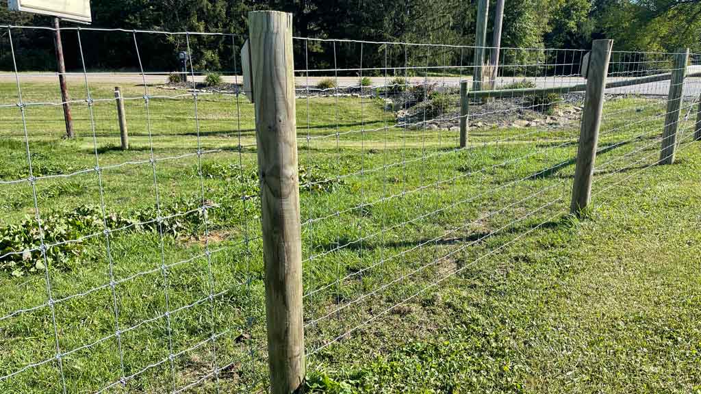 cattle style woven wire fence