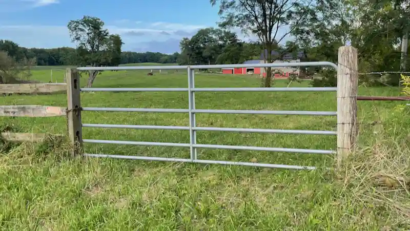 metal farm gate in pasture fence