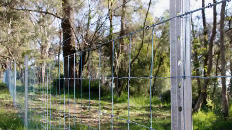 star picket in fence line